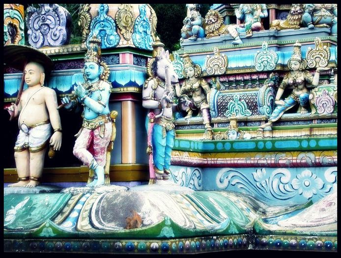 Amazing-India