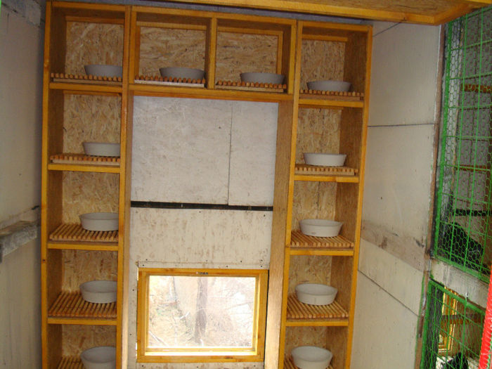 DSC02541