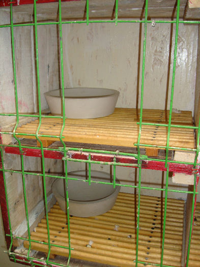 DSC02545