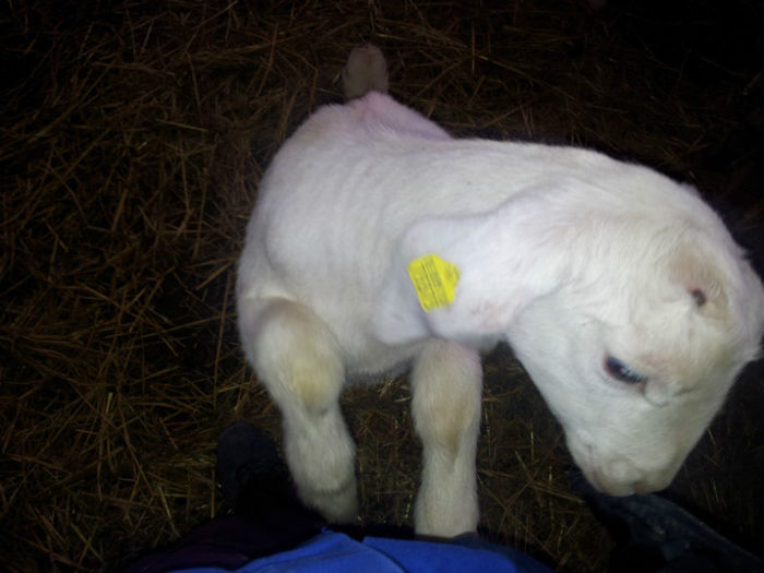 ; ma controleaza la buzunare
