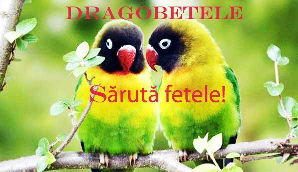 Dragobetele - Dragobete