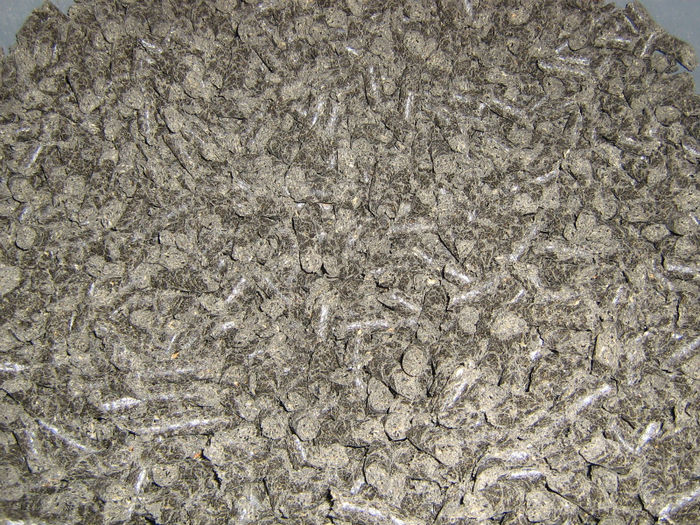 SROT DE FLOAREA SOARELUI