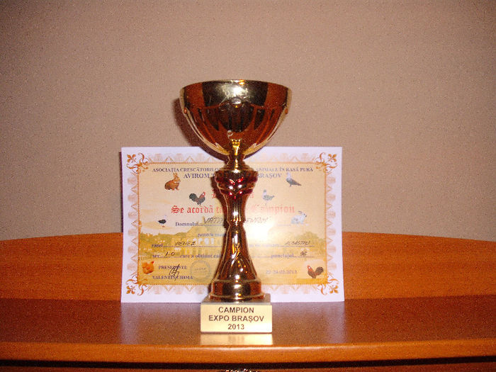 Campion Februarie 2013; Sex: 1-0 B322 4224 GERMANIA
