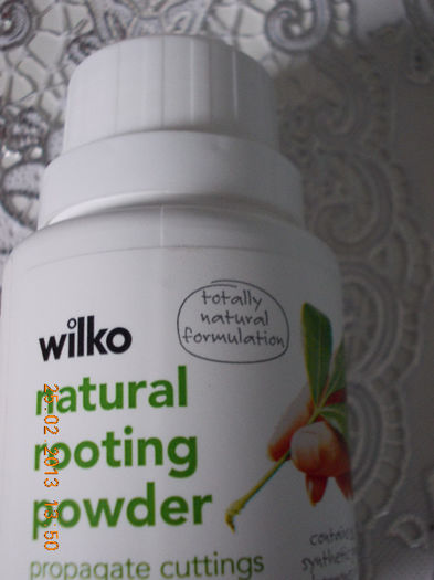 25 febr 2013-flori 026