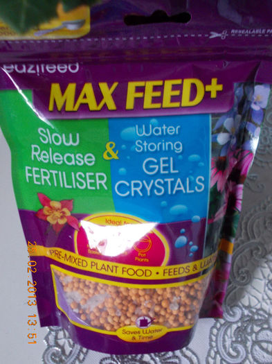 25 febr 2013-flori 035