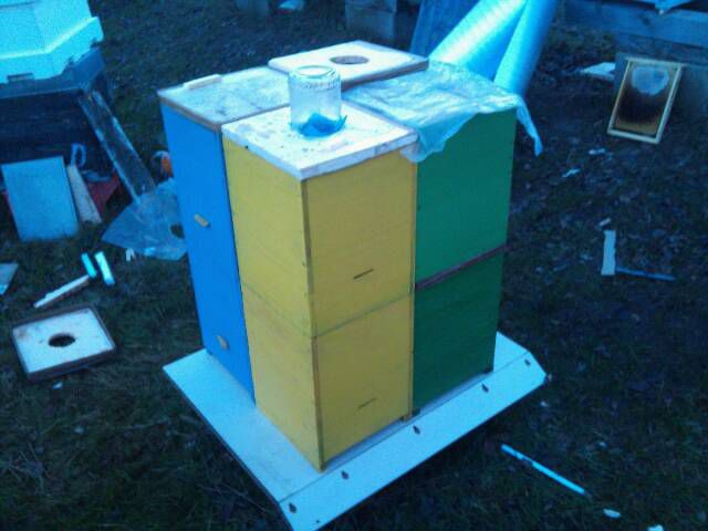 cache_0000013b6661c8609ad