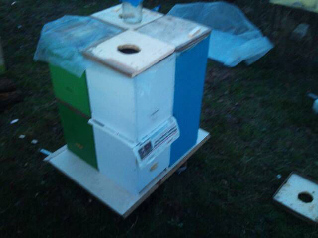 cache_0000013b6661672e9ab