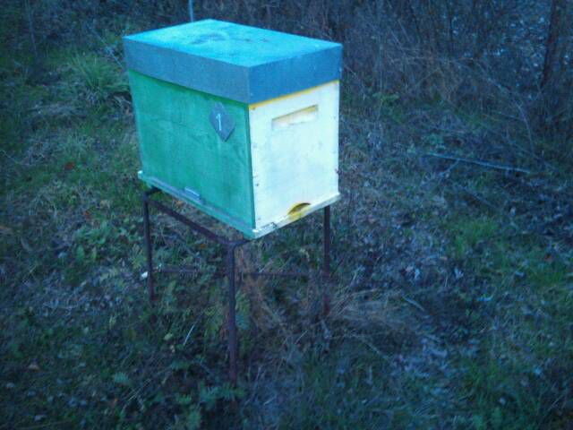 cache_0000013b6664903d9b2