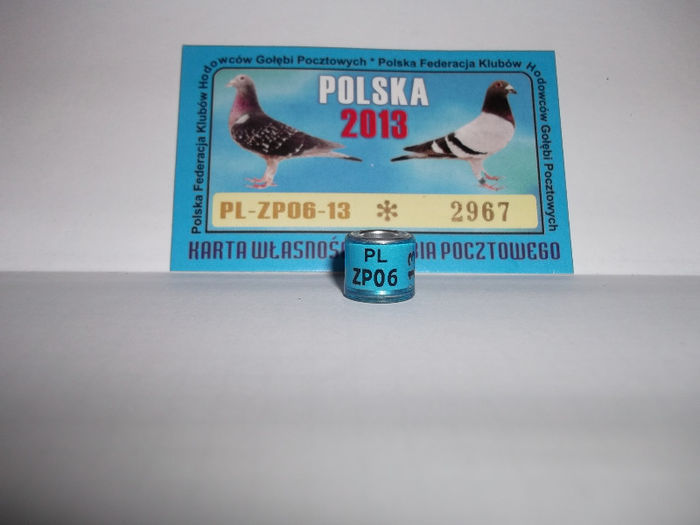 13 ZP - INELE pentru schimb-exchange rings