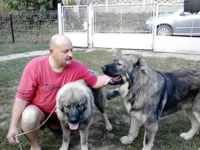 DIXI LA 1 AN SI SARA LA 6 LUNI