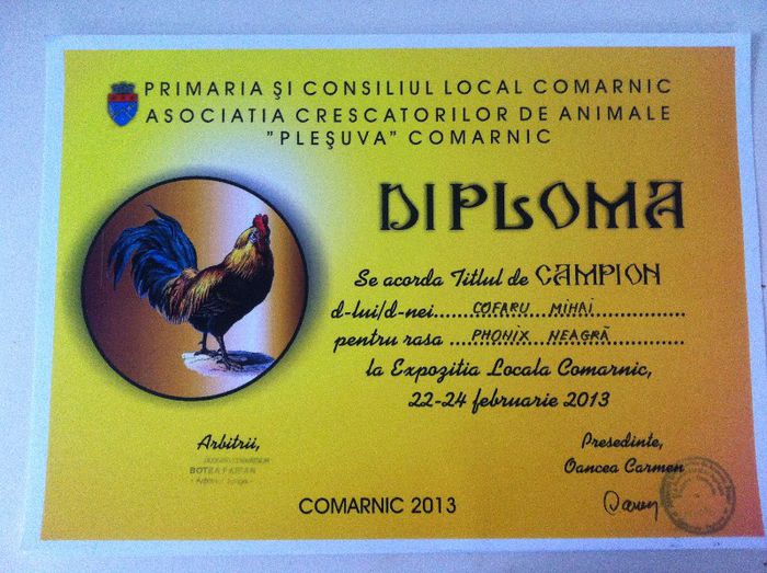 Campion Phoenix Negru - Comarnic 2013