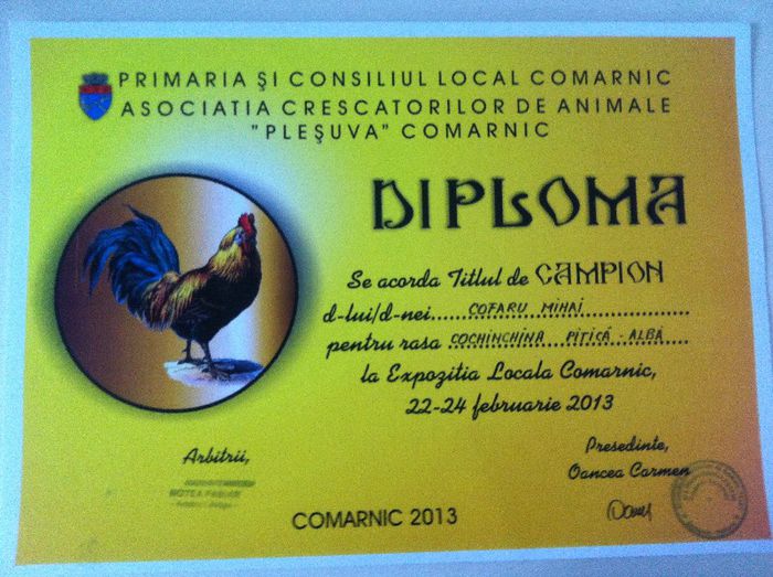 Campion Cochinchina Pitic - Comarnic 2013