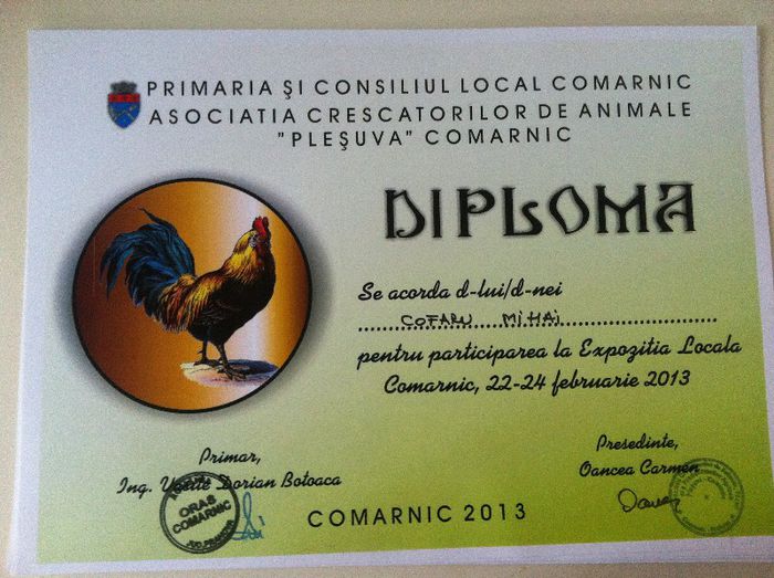 Diploma Participare - Comarnic 2013