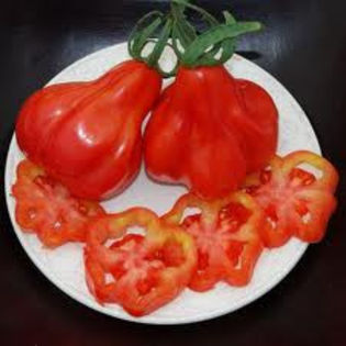 tomate tlacolula mexic2 - TOMATE TLACOLULA MEXIC