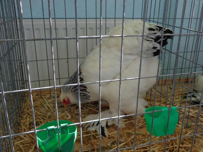 644201_10151472121869311_1624989035_n