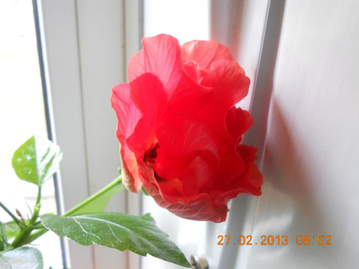 DSCN2695