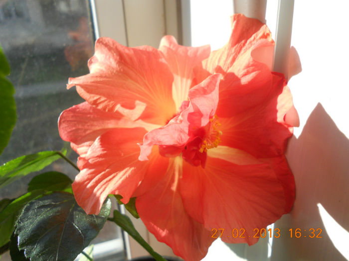 DSCN2697