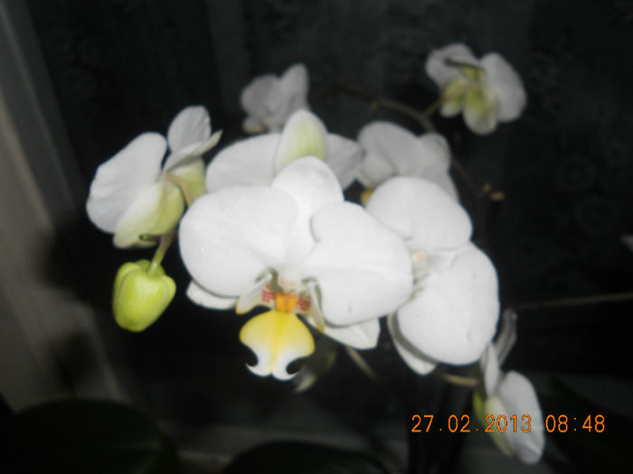 DSCN2687