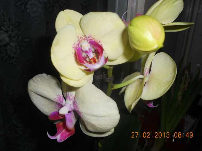 DSCN2689