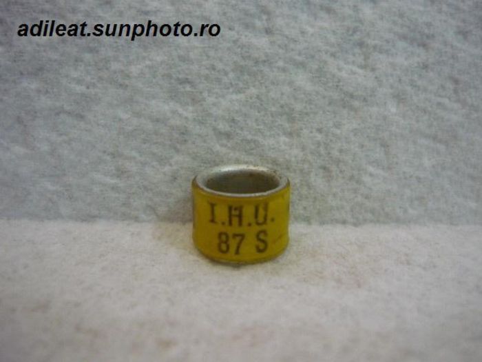 IHU-1987 - IRLANDA-IHU-ring collection