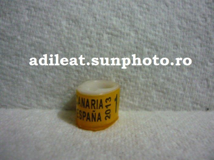 SPANIA-2013-CANARIA - SPANIA-CANARIA-ring collection
