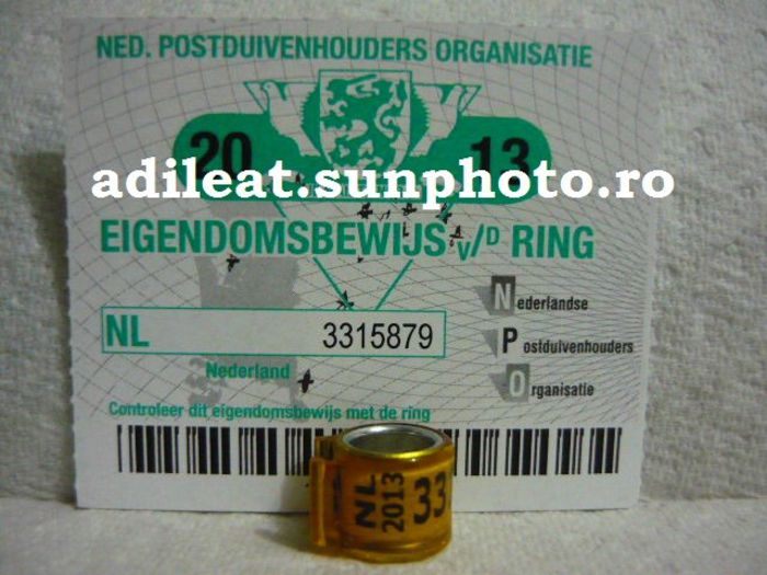 NL-2013-GOLD - OLANDA-NL-ring collection