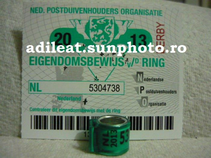 NL-2013-DERBY - OLANDA-NL-ring collection