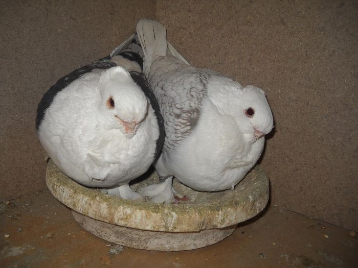 26 feb 092
