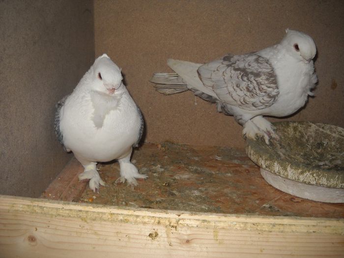 26 feb 094