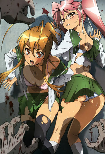 highschool-of-the-dead-highschool-of-the-dead-14520204-1755-2560