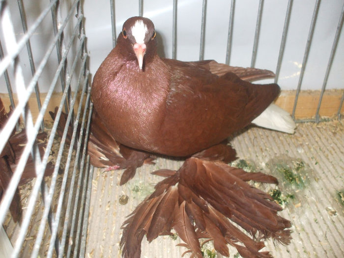 DSCF2134