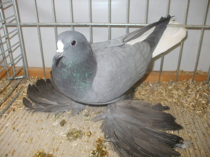 DSCF2139