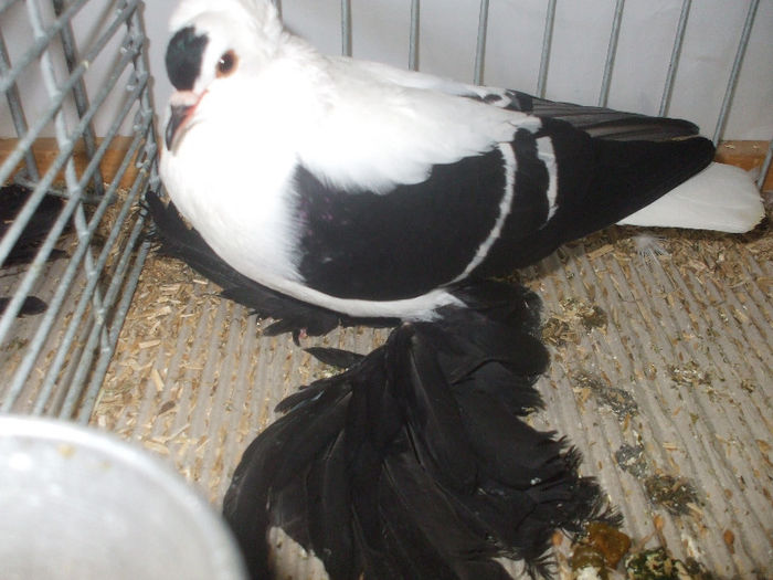 DSCF2147
