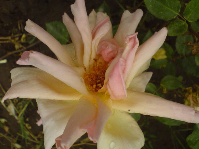 DSC01081
