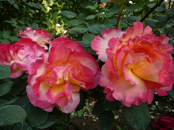 P1120074