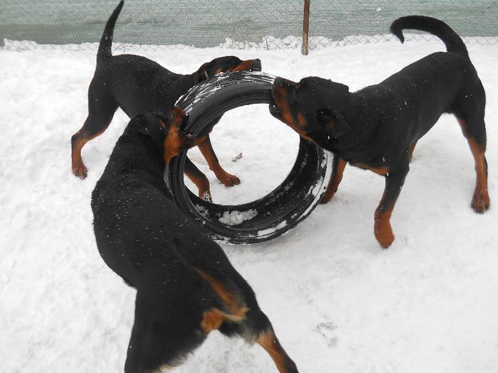 AYTO&BLACKY&BRENDA LA JOACA