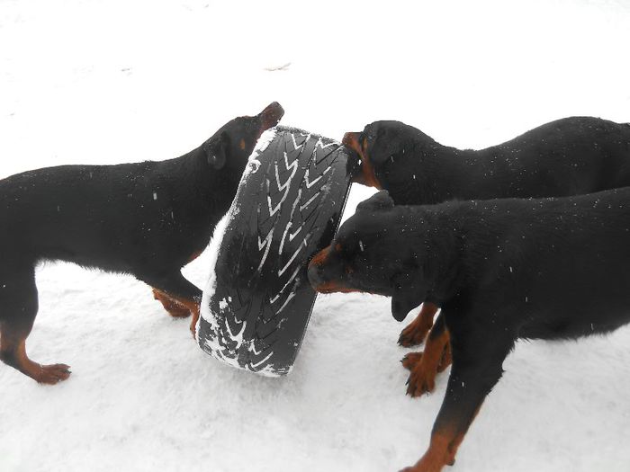 AYTO&BLACKY&BRENDA LA JOACA