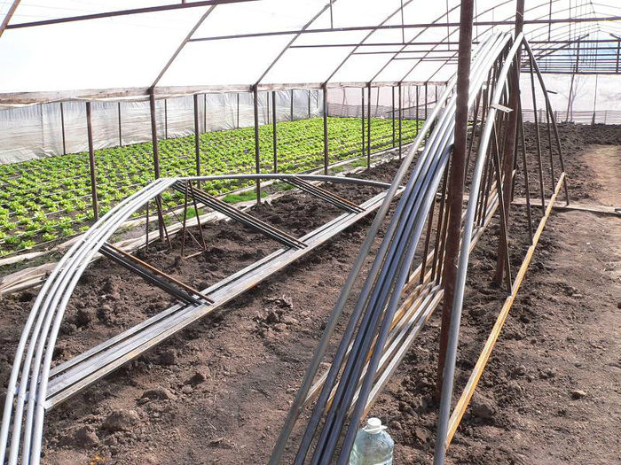 P1100481 - solar in constructie