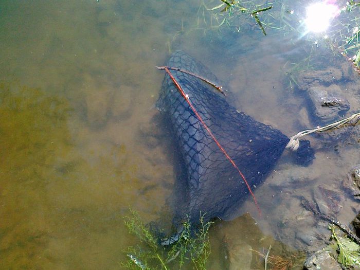 21082011118 - La Pescuit