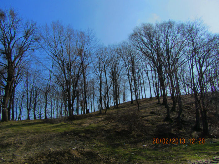 IMG_1157 - 2013 Valcea  panorama 28 feb