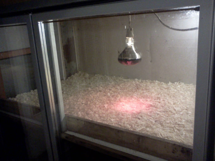 2013-asteapta locatarii