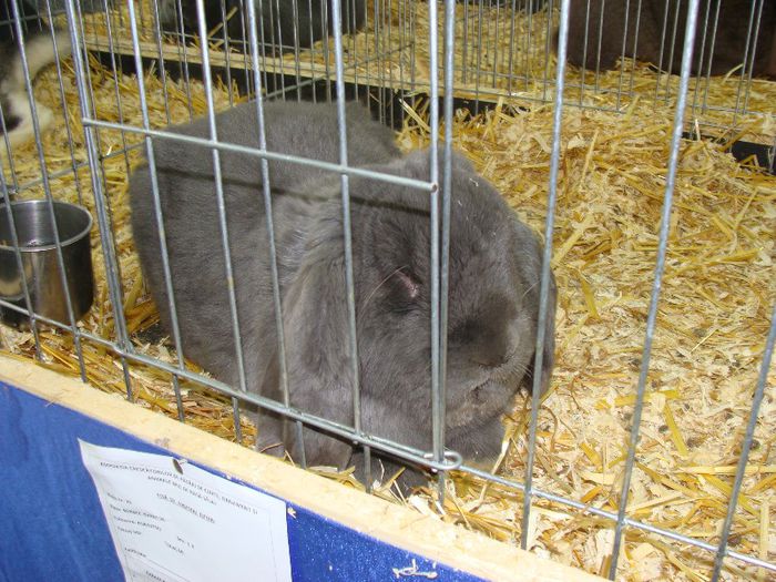 DSC05893