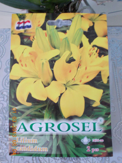 1 martie 2013-flori 010