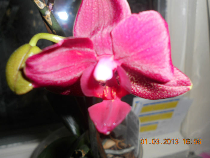 DSCN2716