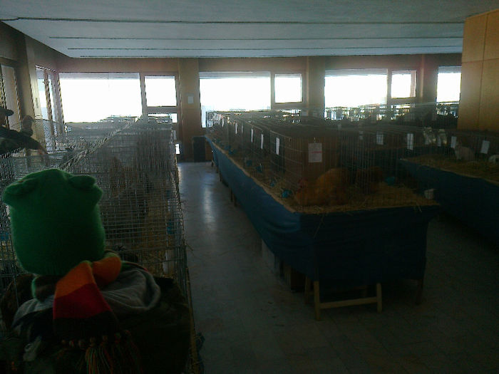 Fénykép2277 - 0 0 0 A 1 MartieEXPO  MCiuc 2013