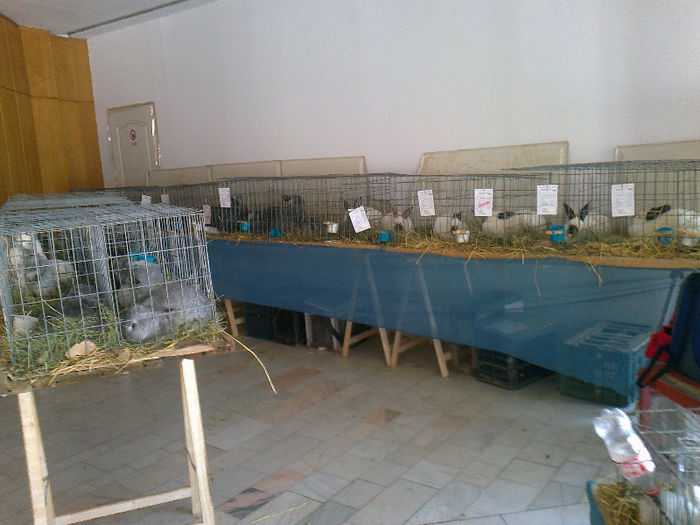 Fénykép2278 - 0 0 0 A 1 MartieEXPO  MCiuc 2013