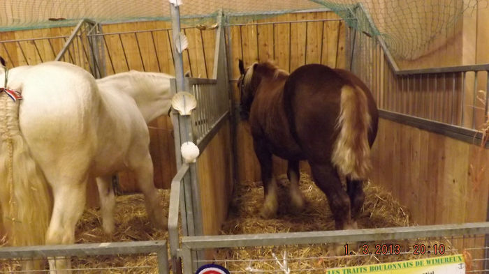 DSCF0422 - salon international de agricultura paris 2013