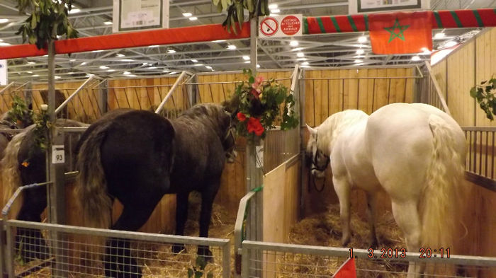 DSCF0424 - salon international de agricultura paris 2013