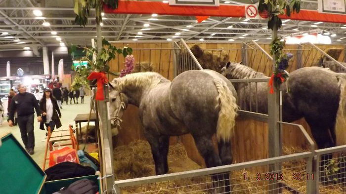 DSCF0425 - salon international de agricultura paris 2013