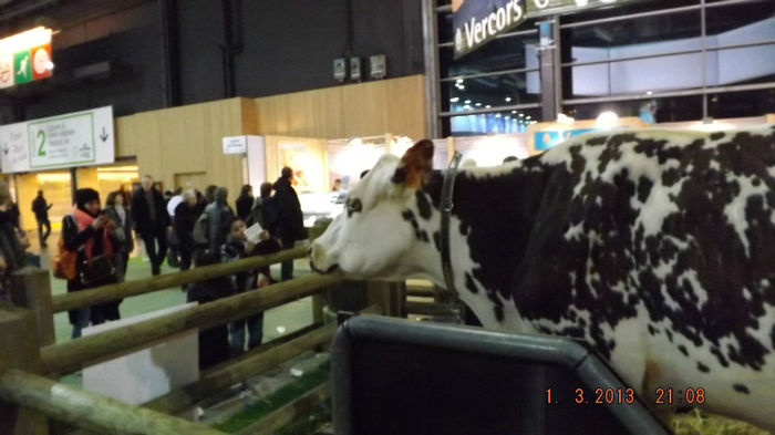 DSCF0489 - salon international de agricultura paris 2013